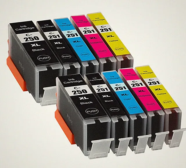 17PK Custom Ink Pack (See description for details)